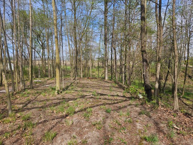 8970 Wigent Rd, House other with 1 bedrooms, 1 bathrooms and null parking in Reading MI | Image 12
