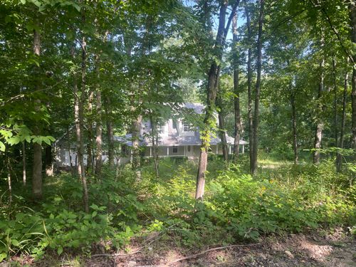 16569 County Road 533, Ava, MO, 65608 | Card Image