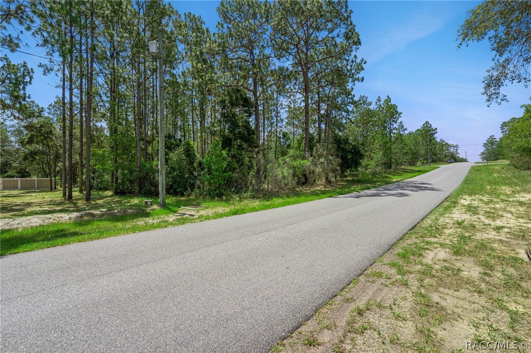 Land in Citrus Springs 5