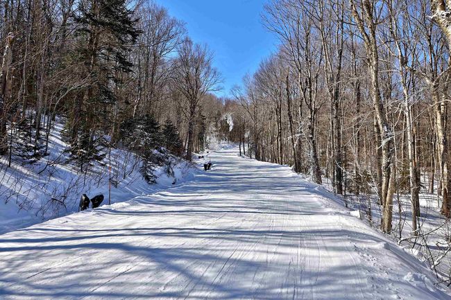 1300 Mountain Rd, House other with 4 bedrooms, 5 bathrooms and null parking in Ludlow VT | Image 19