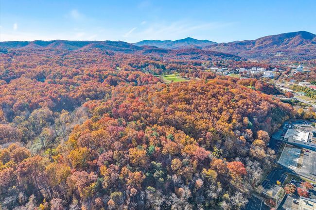 07-SGP-0020 | Image 10