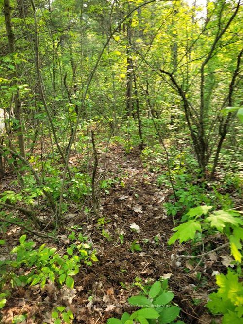 00 S Portage Rd, Lake of Bays, ON, P0A2J3 | Card Image
