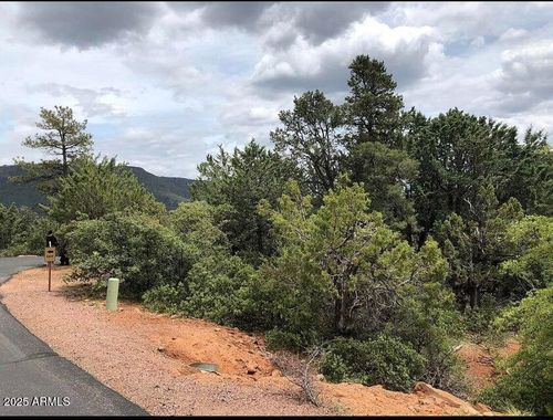9-9 N Lodgepole Cir, Pine, AZ, 85544 | Card Image