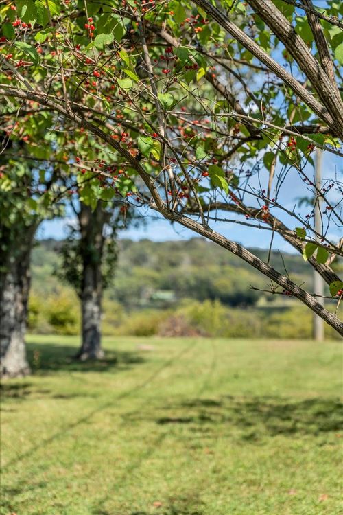 22 Mcginnis Ln, Brush Creek, TN, 38547-5068 | Card Image