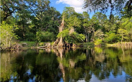 TBD Ne 60th St, High Springs, FL, 32643 | Card Image