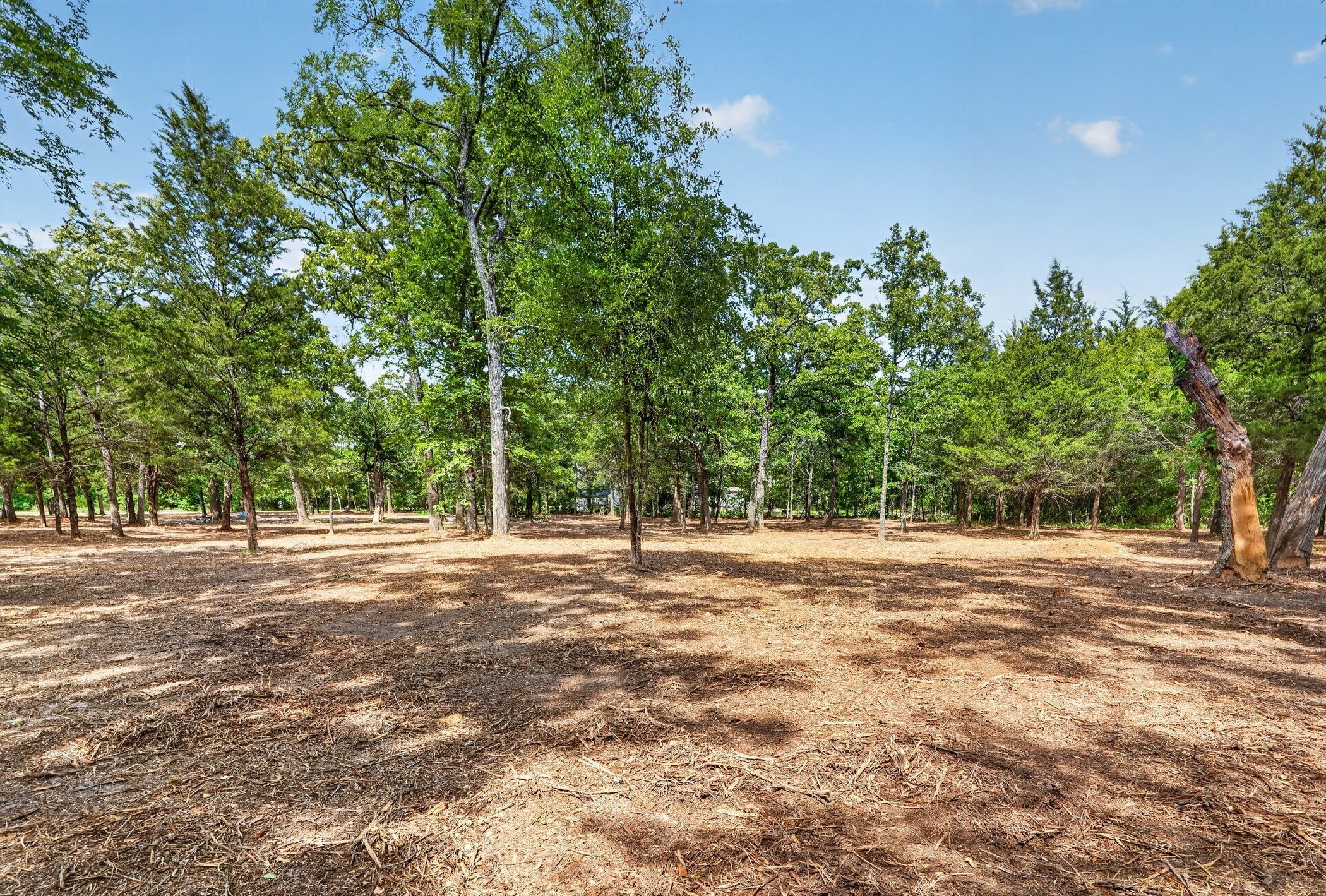 Land in Canton 5