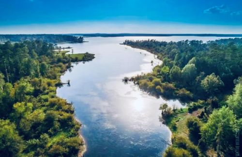 553 Private Road 8356, Bronson, TX, 75930 | Card Image