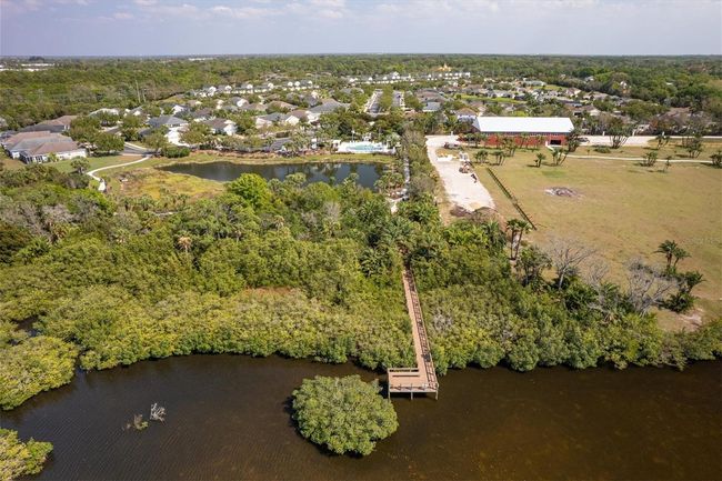 Manatee River | Image 56