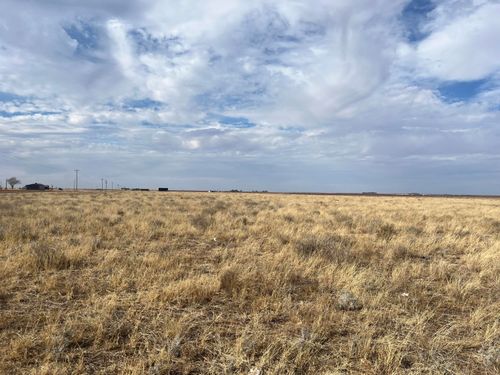 0 Fm-1317, Wilson, TX, 79381 | Card Image