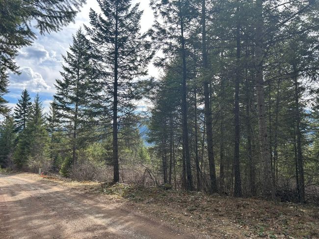 5 Red Fir Ln, Home with 0 bedrooms, 0 bathrooms and null parking in Noxon MT | Image 4