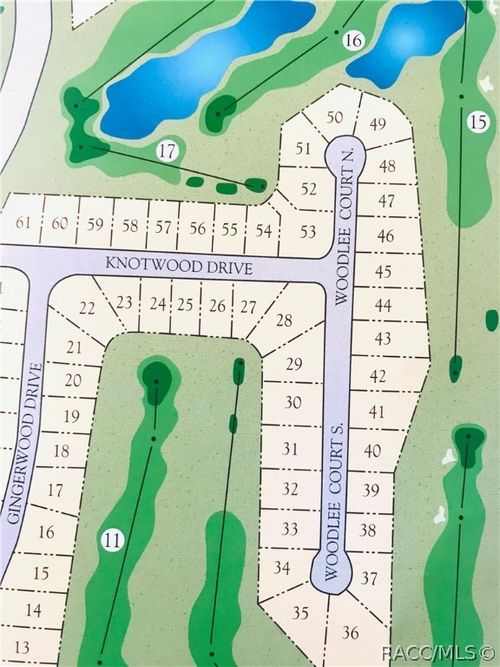 1 Woodlee Ct N, HOMOSASSA, FL, 34446-3578 | Card Image