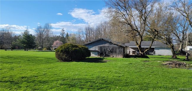 back yard view | Image 11