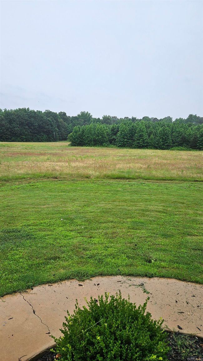 299 County Road 417, House other with 4 bedrooms, 4 bathrooms and null parking in Rector AR | Image 34