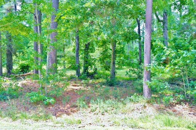 695 Lake Shore Dr, Home with 0 bedrooms, 0 bathrooms and null parking in Coldspring TX | Image 14