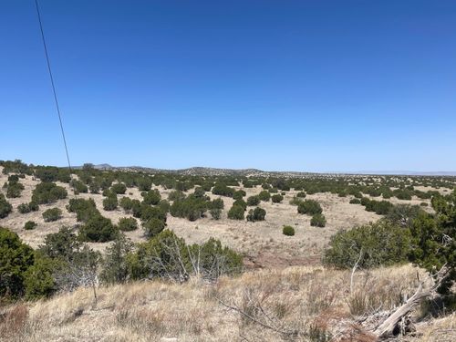 Lot 55 Pinon Springs Ranch, Magdalena, NM, 87825 | Card Image