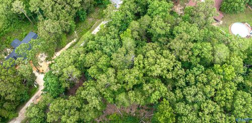 Lot 3 Hickory Ln, Valley Head, AL, 35989-4444 | Card Image
