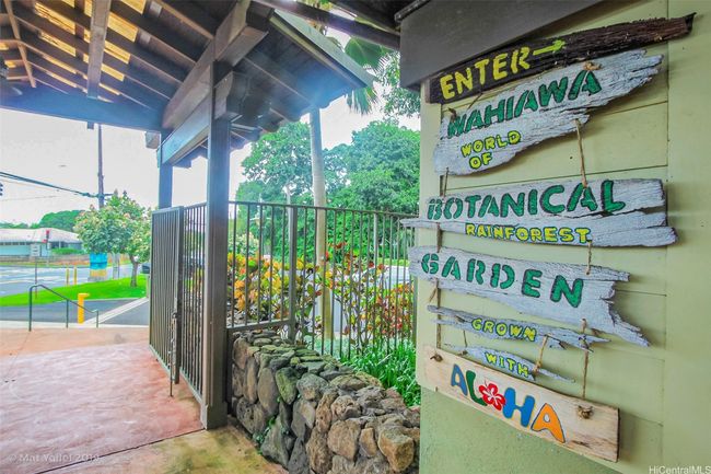 Botanical Garden | Image 22