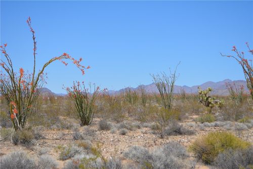 K13 S Red Lake Rd, Yucca, AZ, 86438 | Card Image