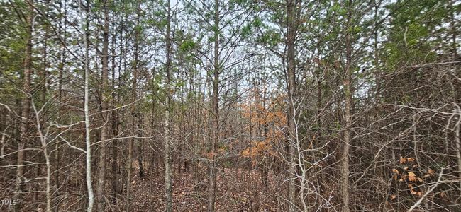 20240209_081402 | Image 28