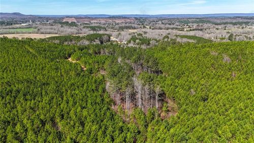 0 Highway 100, Summerville, GA, 30747 | Card Image