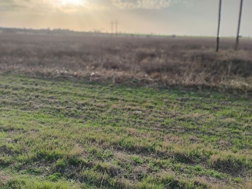 TBD Fm 1915 S. 8th Street, Buckholts, TX, 76518 | Card Image