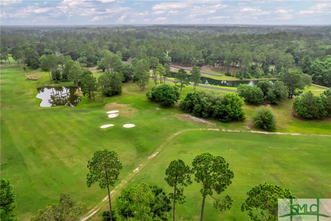 732 Coopers Point Dr Ne, Home with 0 bedrooms, 0 bathrooms and null parking in Townsend GA | Image 20