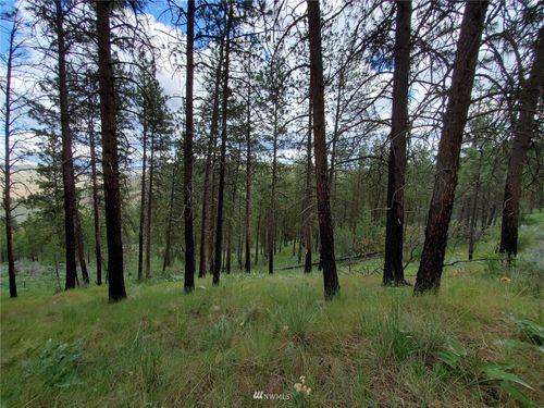 0 570X Tunk Creek Rd, Riverside, WA, 98849 | Card Image