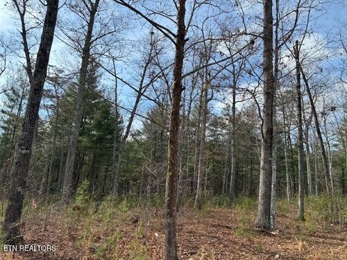 0 Mountain Ash Way, Sevierville, TN, 37876 | Card Image