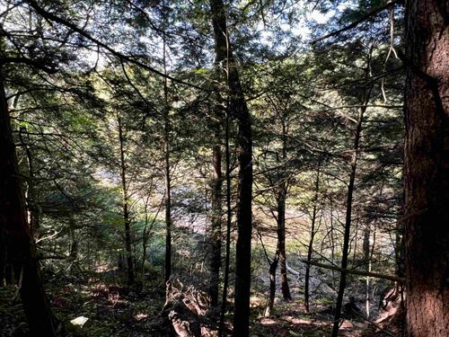 10 Castle Hl, Westford, VT, 05494-9726 | Card Image