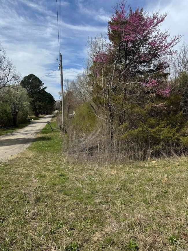 100 Highway 167 N, Home with 0 bedrooms, 0 bathrooms and null parking in Bald Knob AR | Image 6