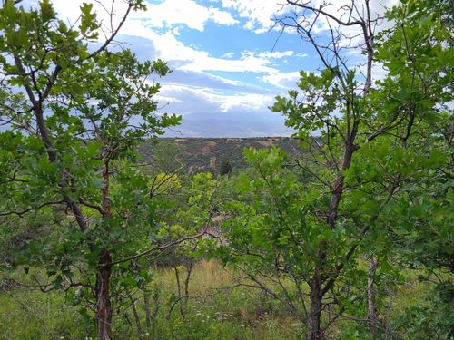 1132-1132 E Shadow Way S, Fairview, UT, 84629 | Card Image