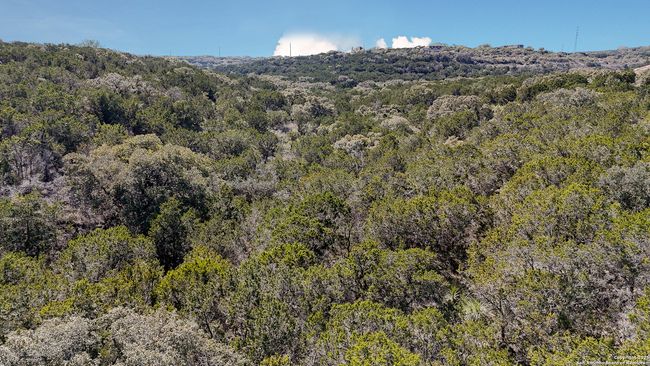 171 County Road 2814, Home with 0 bedrooms, 0 bathrooms and null parking in Mico TX | Image 5