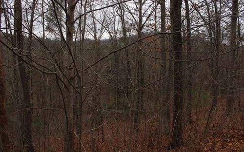 20 Thunder Rd, Hayesville, NC, 28904 | Card Image