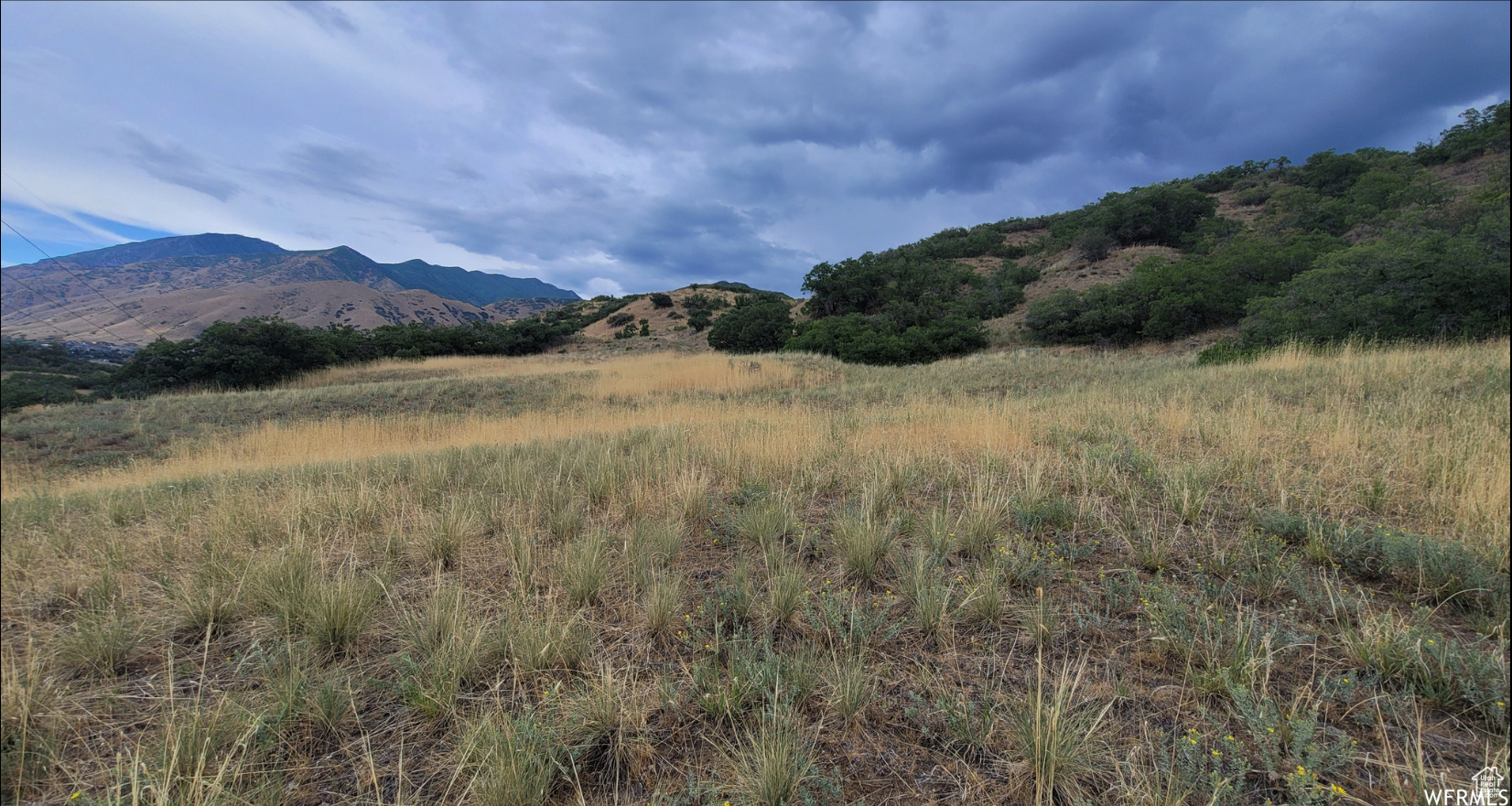Land in Mapleton
