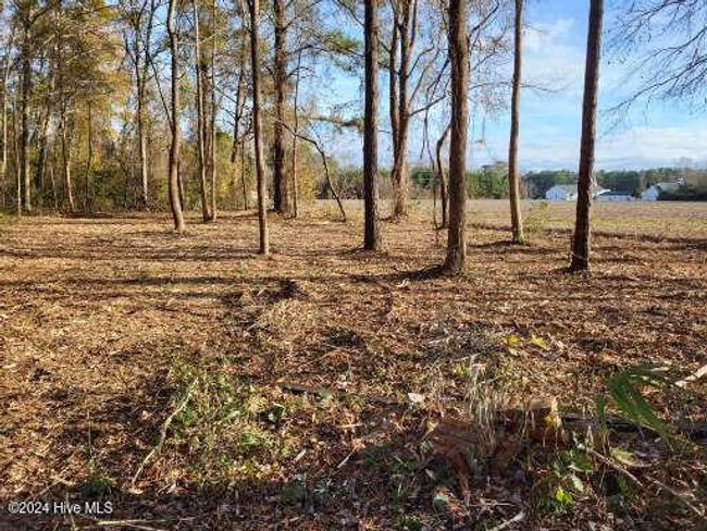 6 Minor Run Rd, Home with 0 bedrooms, 0 bathrooms and null parking in Edward NC | Image 13