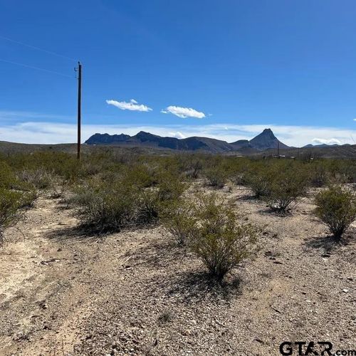 31466 Ringtail, Terlingua, TX, 79852 | Card Image