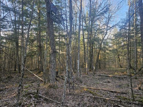 N1343 Ten Crossing Rd, Ogema, WI, 54459 | Card Image