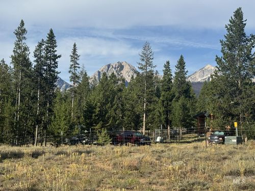 39 Lodgepole Ln, Stanley, ID, 83278-7703 | Card Image
