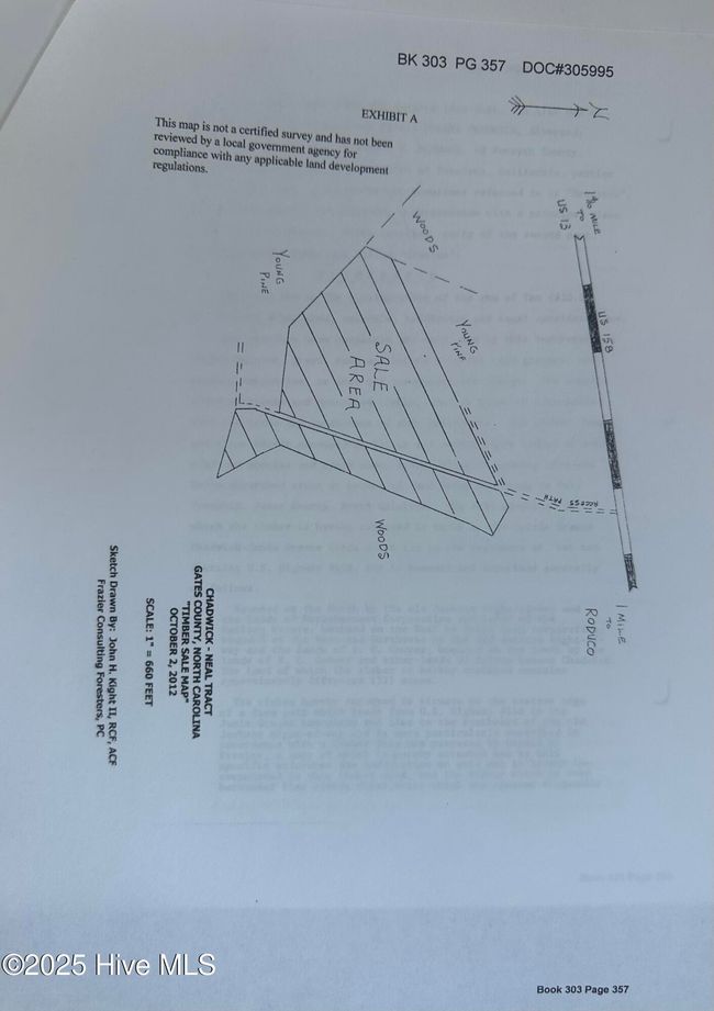 Image | Image 5