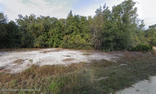 0 Native Rock Drive, Webster, FL, 33597 | Card Image