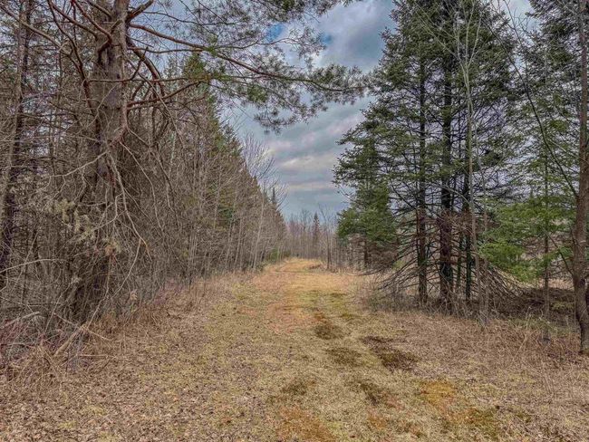 W10236 County Road M, Home with 0 bedrooms, 0 bathrooms and null parking in Merrill WI | Image 9