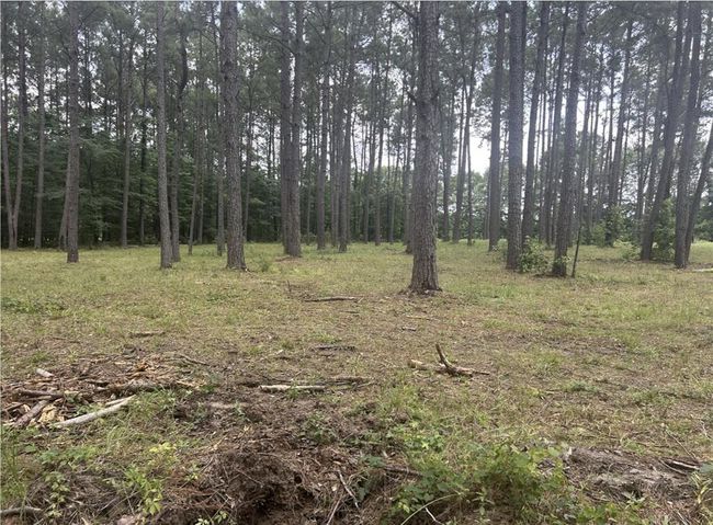 185 Forrest Rd, Home with 0 bedrooms, 0 bathrooms and null parking in Huntington TX | Image 13