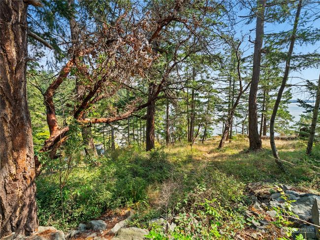 Path goes down the point to the Cove. | Image 32