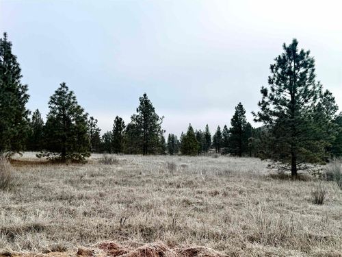 0 Cayuse Cove Rd E, Davenport, WA, 99122 | Card Image