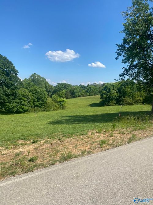 19.27 Acres County Road 656, Anderson, AL, 35610 | Card Image