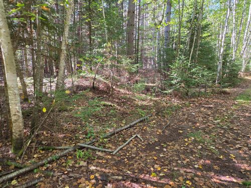 Lot 4 Sandy Ln, Land O Lakes, WI, 54540 | Card Image