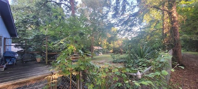 From back porch looking to back yard. Plenty of room for house or fenced yard expansion. | Image 10