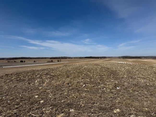 0000 County Road 61, Home with 0 bedrooms, 0 bathrooms and null parking in Browerville MN | Image 8