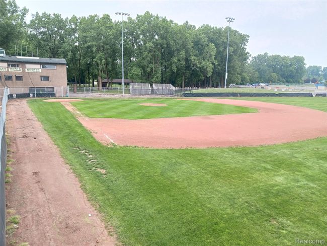 The field where dreams start | Image 27