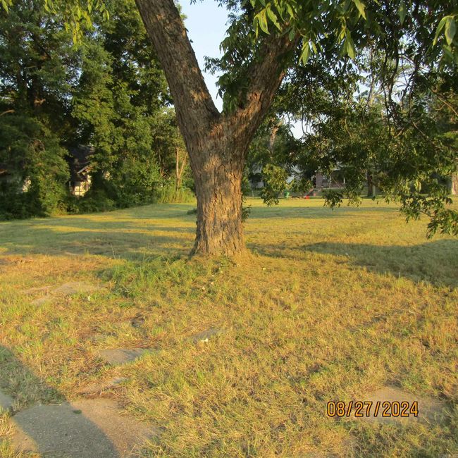 1019 S Olive St, Home with 0 bedrooms, 0 bathrooms and null parking in Pine Bluff AR | Image 5